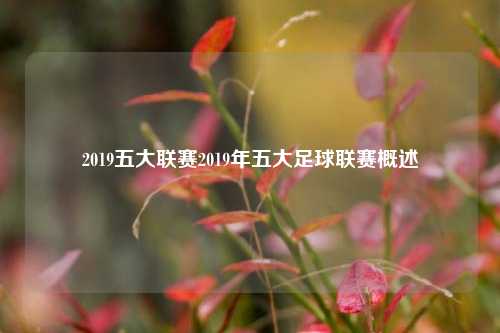 2019五大联赛2019年五大足球联赛概述