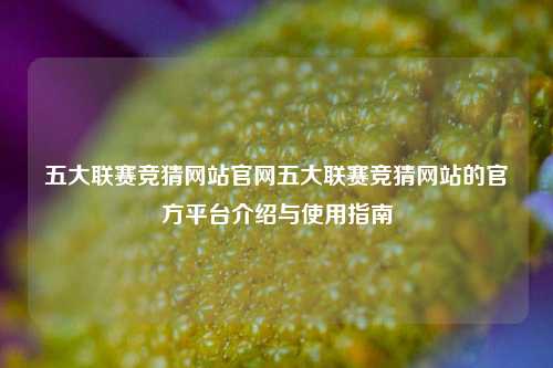 五大联赛竞猜网站官网五大联赛竞猜网站的官方平台介绍与使用指南