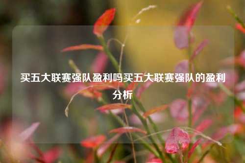 买五大联赛强队盈利吗买五大联赛强队的盈利分析