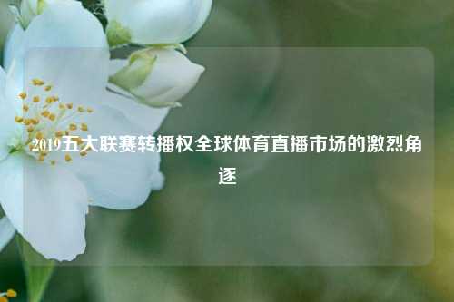2019五大联赛转播权全球体育直播市场的激烈角逐