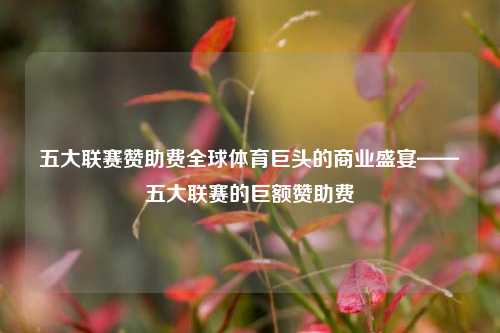 五大联赛赞助费全球体育巨头的商业盛宴——五大联赛的巨额赞助费