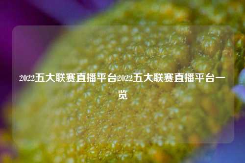 2022五大联赛直播平台2022五大联赛直播平台一览