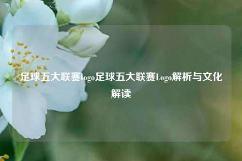 足球五大联赛logo足球五大联赛Logo解析与文化解读