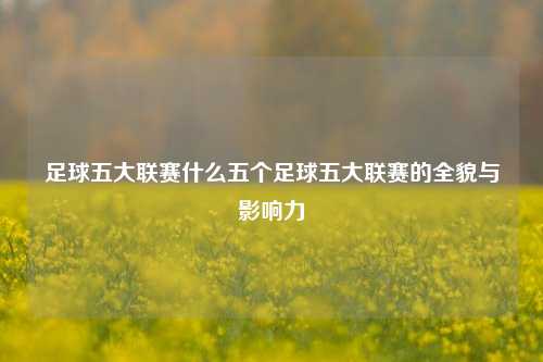 足球五大联赛什么五个足球五大联赛的全貌与影响力