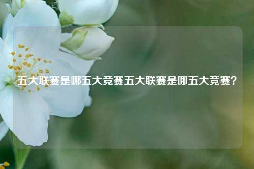 五大联赛是哪五大竞赛五大联赛是哪五大竞赛？