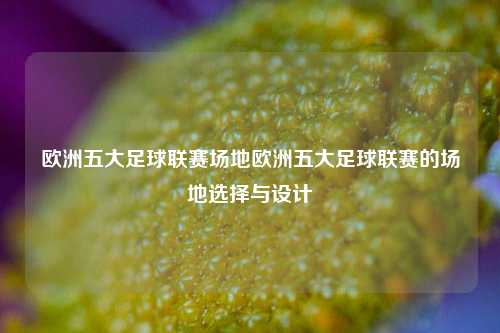 欧洲五大足球联赛场地欧洲五大足球联赛的场地选择与设计