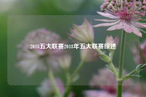 2018五大联赛2018年五大联赛综述