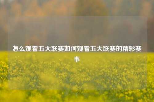 怎么观看五大联赛如何观看五大联赛的精彩赛事