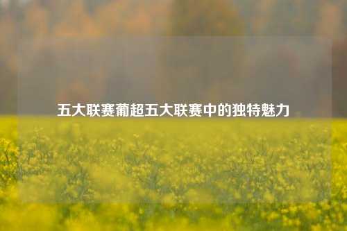 五大联赛葡超五大联赛中的独特魅力