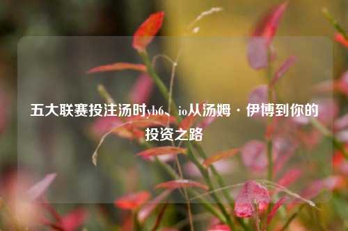 五大联赛投注汤时yb6、io从汤姆·伊博到你的投资之路