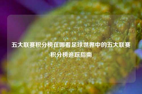 五大联赛积分榜在哪看足球世界中的五大联赛积分榜追踪指南