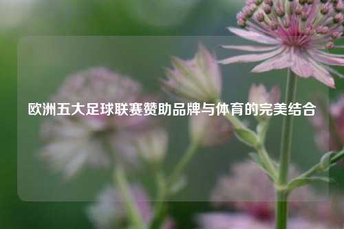 欧洲五大足球联赛赞助品牌与体育的完美结合