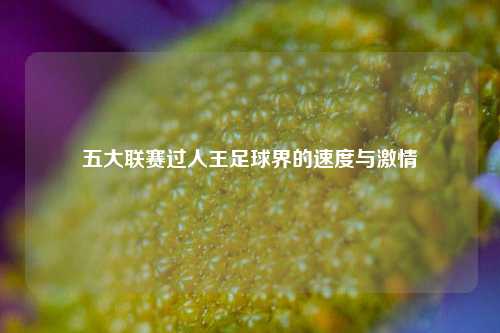 五大联赛过人王足球界的速度与激情