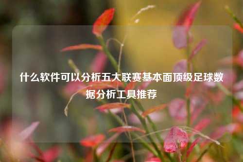 什么软件可以分析五大联赛基本面顶级足球数据分析工具推荐