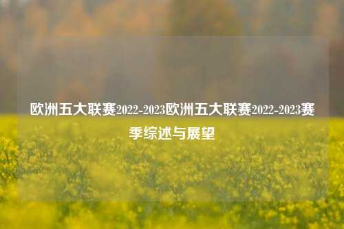 欧洲五大联赛2022-2023欧洲五大联赛2022-2023赛季综述与展望