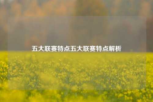 五大联赛特点五大联赛特点解析