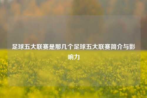 足球五大联赛是那几个足球五大联赛简介与影响力