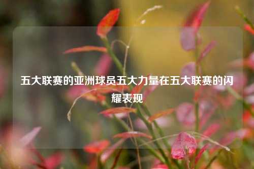 五大联赛的亚洲球员五大力量在五大联赛的闪耀表现