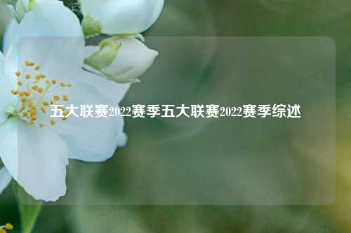 五大联赛2022赛季五大联赛2022赛季综述