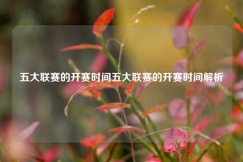 五大联赛的开赛时间五大联赛的开赛时间解析