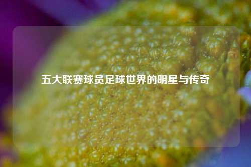 五大联赛球员足球世界的明星与传奇
