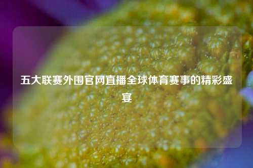 五大联赛外围官网直播全球体育赛事的精彩盛宴