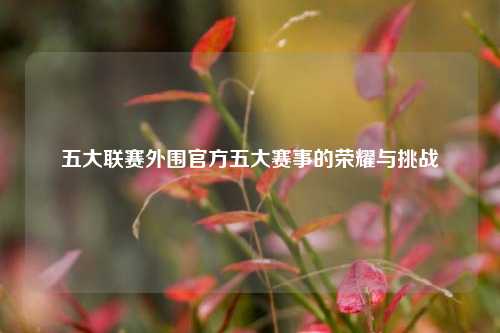 五大联赛外围官方五大赛事的荣耀与挑战