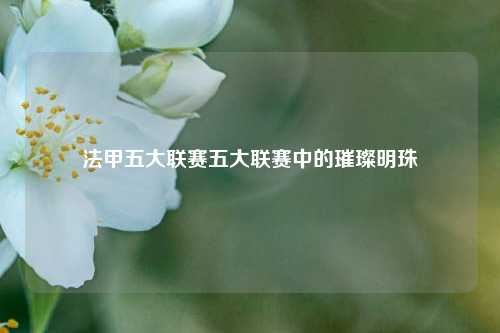 法甲五大联赛五大联赛中的璀璨明珠