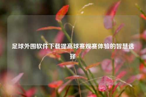 足球外围软件下载提高球赛观赛体验的智慧选择