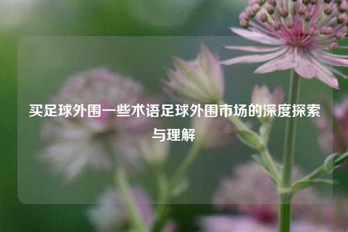 买足球外围一些术语足球外围市场的深度探索与理解