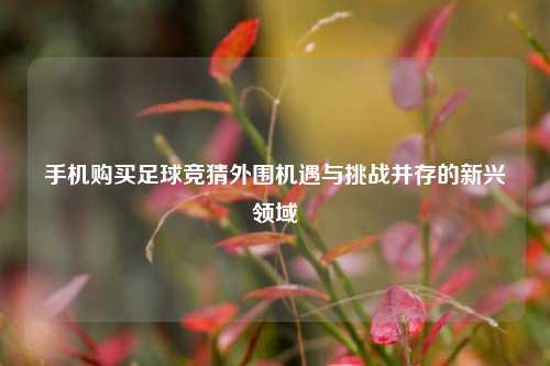 手机购买足球竞猜外围机遇与挑战并存的新兴领域