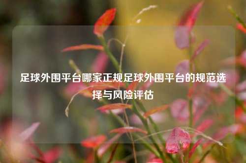 足球外围平台哪家正规足球外围平台的规范选择与风险评估