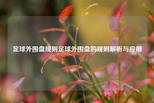 足球外围盘规则足球外围盘的规则解析与应用