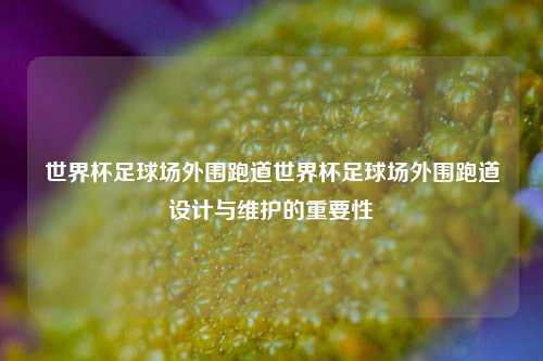 世界杯足球场外围跑道世界杯足球场外围跑道设计与维护的重要性