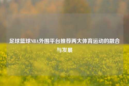 足球篮球NBA外围平台推荐两大体育运动的融合与发展