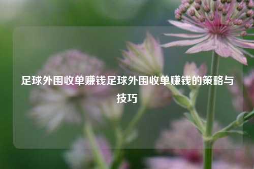 足球外围收单赚钱足球外围收单赚钱的策略与技巧