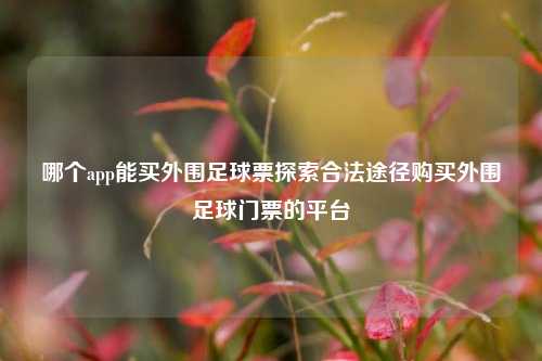 哪个app能买外围足球票探索合法途径购买外围足球门票的平台