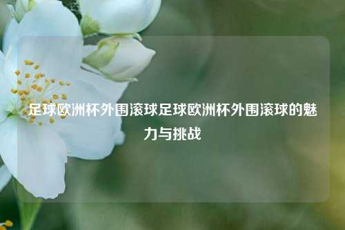 足球欧洲杯外围滚球足球欧洲杯外围滚球的魅力与挑战