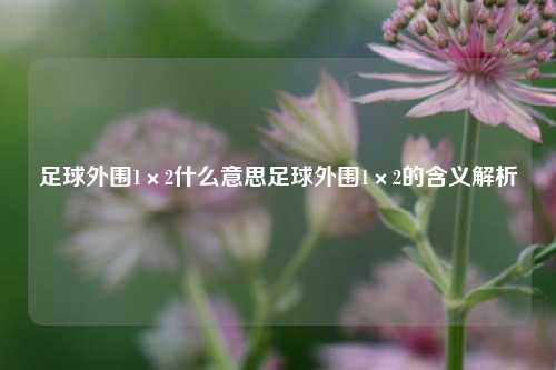 足球外围1×2什么意思足球外围1×2的含义解析