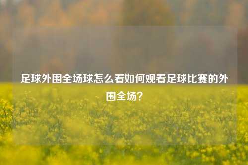 足球外围全场球怎么看如何观看足球比赛的外围全场？