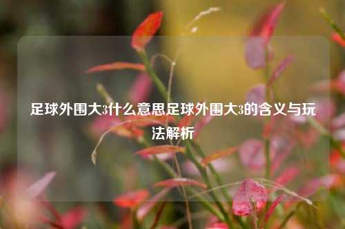 足球外围大3什么意思足球外围大3的含义与玩法解析
