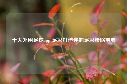 十大外围足球app 足彩打造你的足彩策略宝典