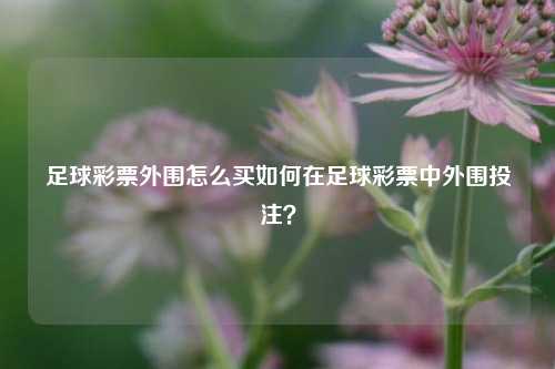 足球彩票外围怎么买如何在足球彩票中外围投注？