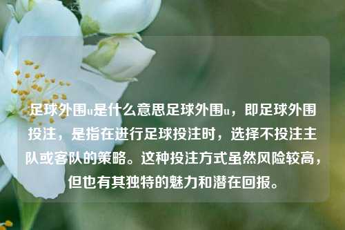 足球外围u是什么意思足球外围u，即足球外围投注，是指在进行足球投注时，选择不投注主队或客队的策略。这种投注方式虽然风险较高，但也有其独特的魅力和潜在回报。