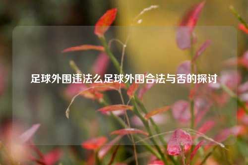 足球外围违法么足球外围合法与否的探讨
