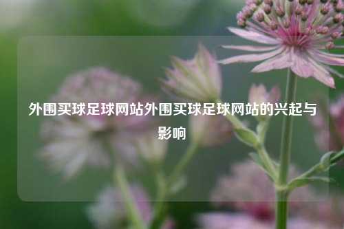 外围买球足球网站外围买球足球网站的兴起与影响