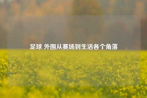 足球 外围从赛场到生活各个角落
