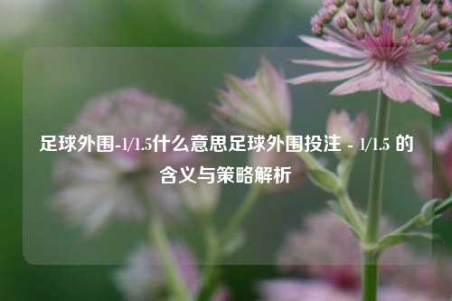 足球外围-1/1.5什么意思足球外围投注 - 1/1.5 的含义与策略解析